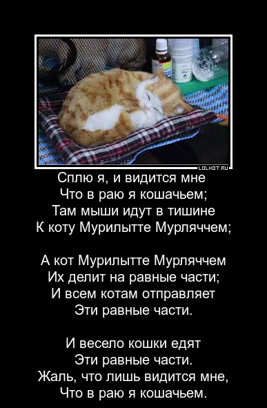 Сны