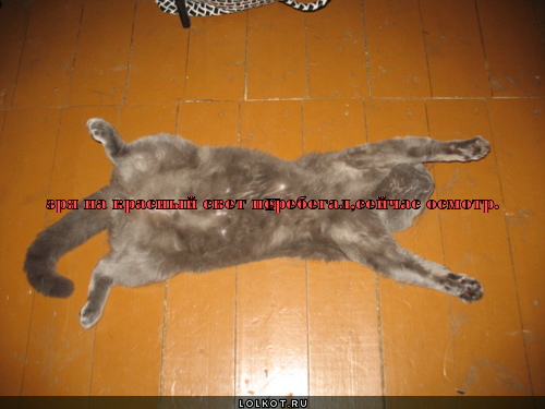 Техосмотр 