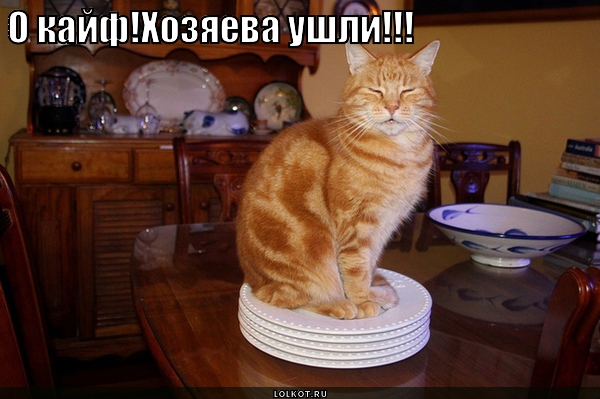 Ушли хозяева 