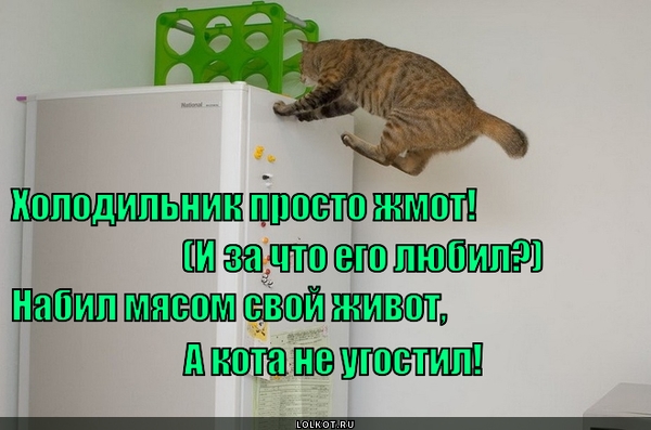 Холодильник, не жадничай! 