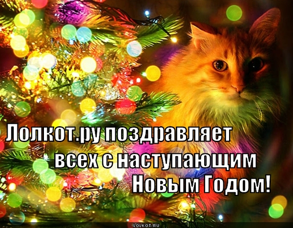 Лолкот.ру поздравляет всех с наступающим Новым годом!