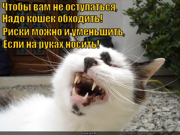 Носить на руках 