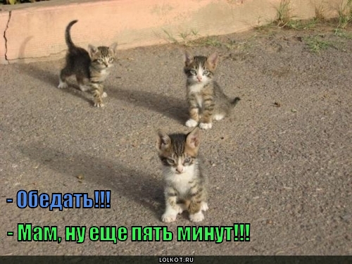 Гуляем 