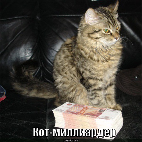 кот-миллиардер