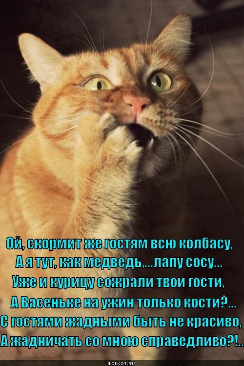 Дай, дай, дай!