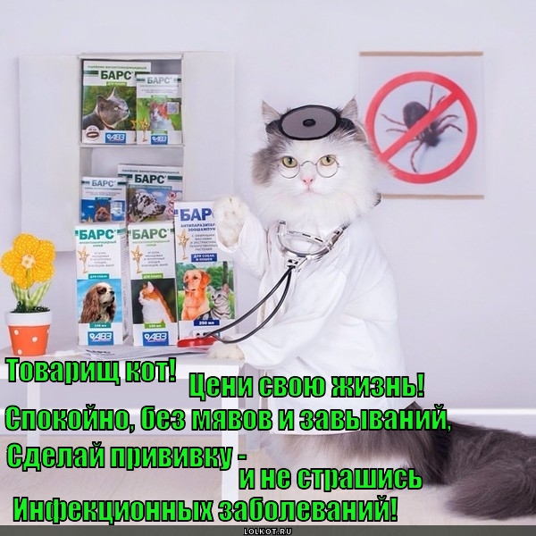 Доктор Котюлькин рекомендует 