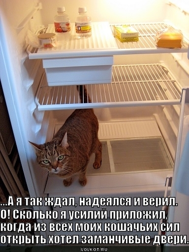 Голяк в холодильнике 
