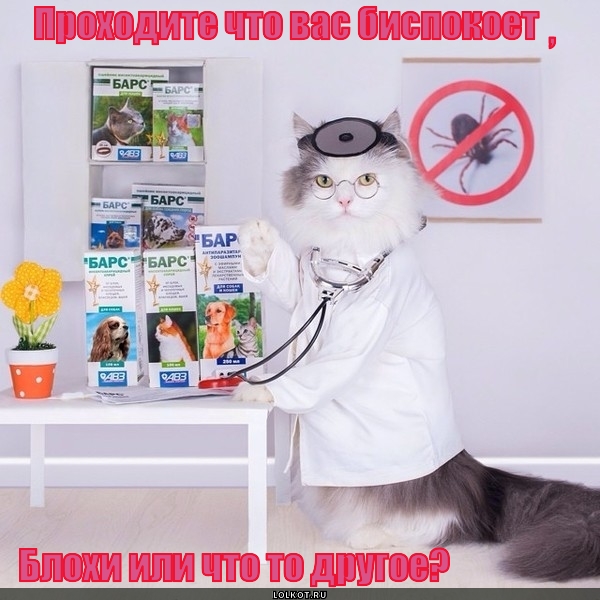 Осмотр