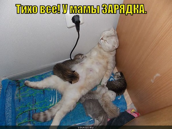 Зарядка 