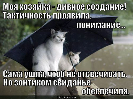 Зонтик для рандеву 