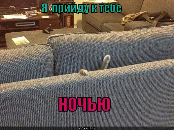 Придун 