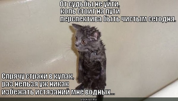 Философ в ванной 