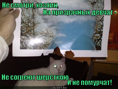 Одна такая