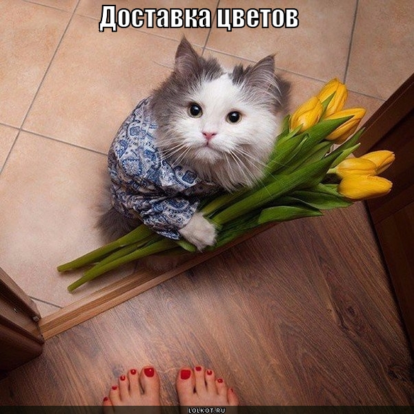 Вам цветы! 