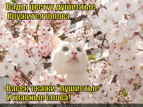 Весна пришла 