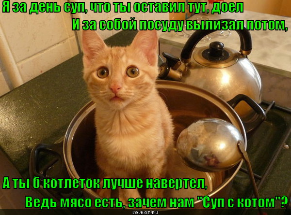 Кулинарный кот 