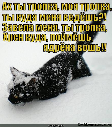 Тропа под снегом 