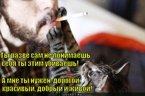 Курильщики умирают молодыми!