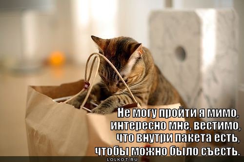 Мяукало орало, искало и жрало