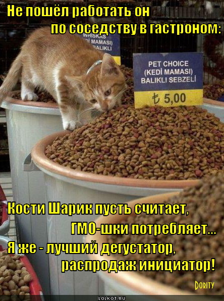 Пушистый дегустатор
