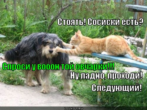 Сосиски есть?