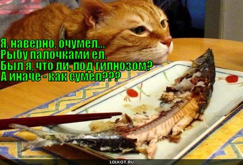 Техника владения палками 