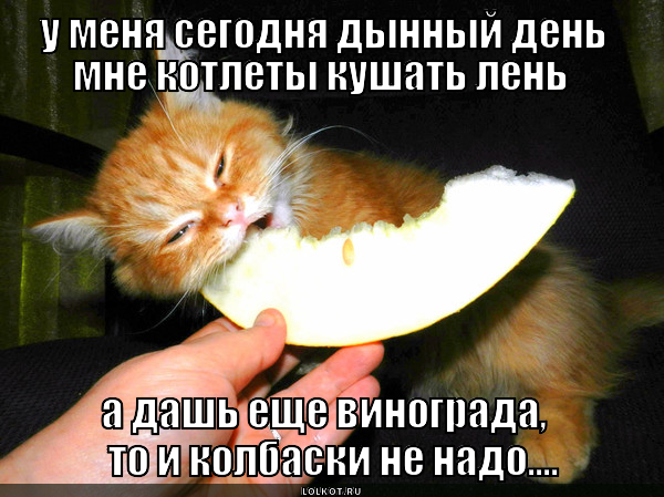 Котлетозаменитель