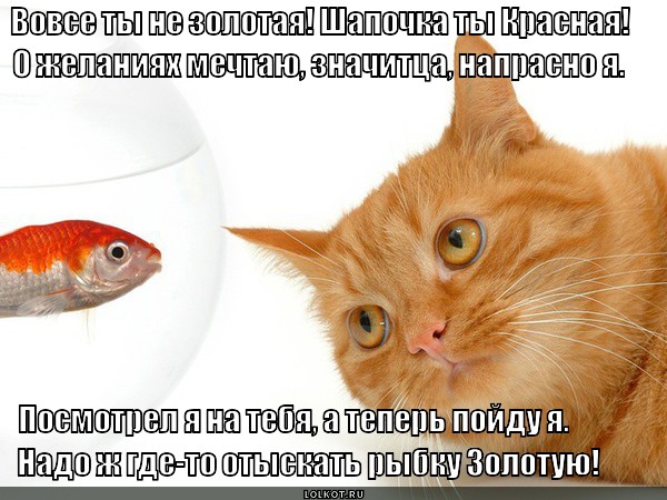 Вот оно как значитца!