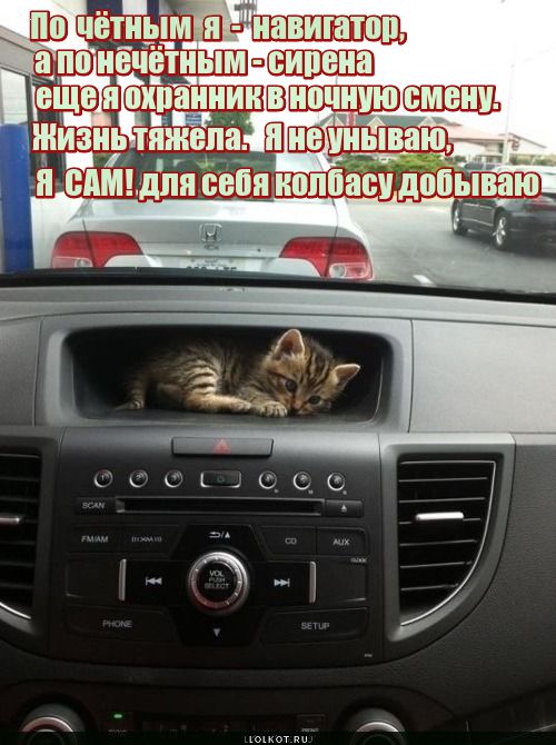 Все сам