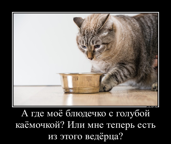 Ведерочко без каемочки