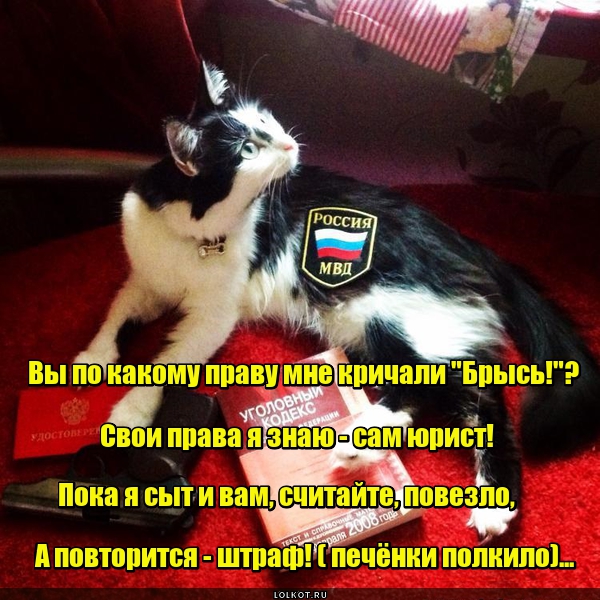Правозащитник