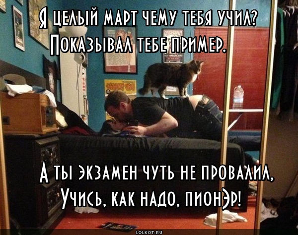 Бестолковый ученик