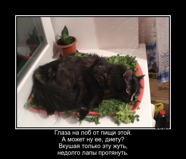 Долой диету!