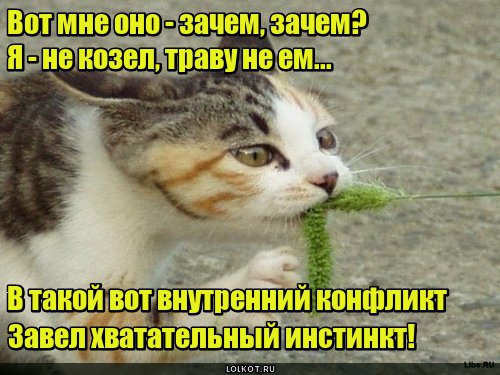 Хватательный инстинкт