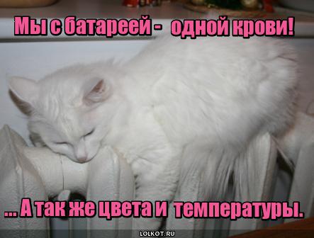 Однокровчане