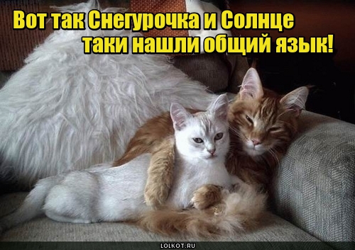 Снегурочка и Солнце 