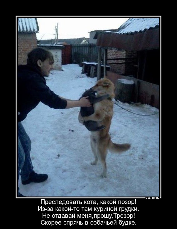 Собачья защита
