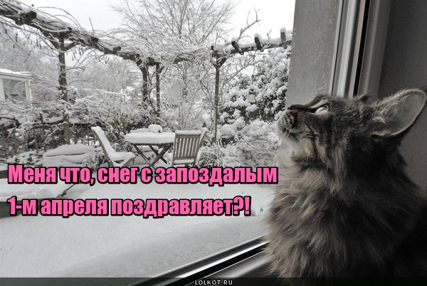 Запоздалая шутка