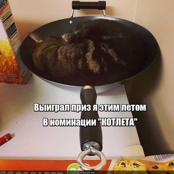 КОТОскар