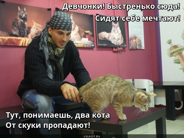 Кошачья зазывная