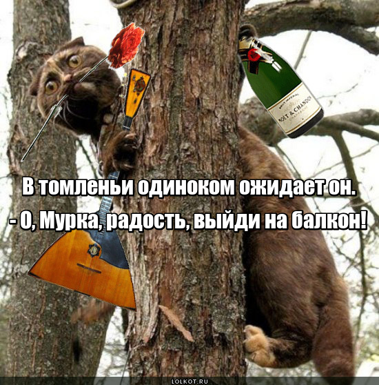 ЛовеЛАЗ