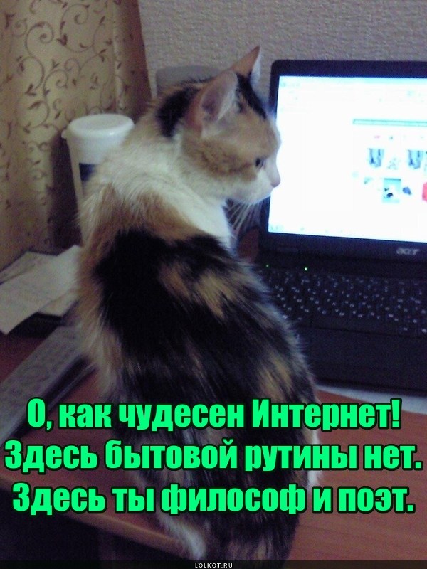 В интернете никто не знает, что ты котик