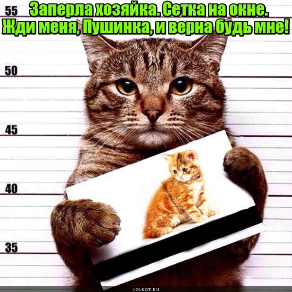 Верность за окном 