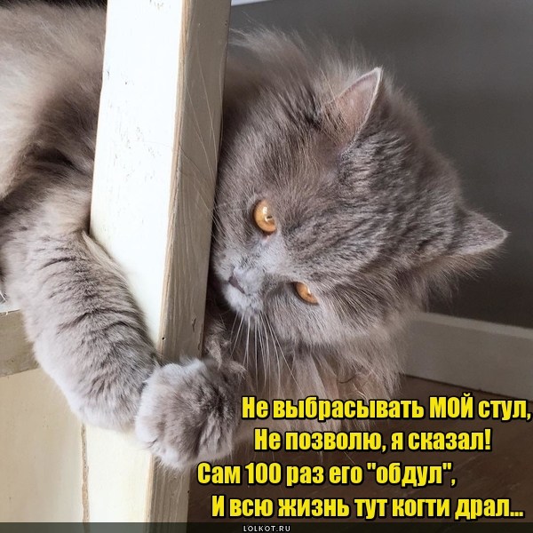 Обдутый раритет