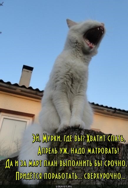 Сверхурочные