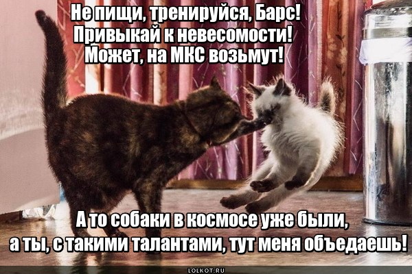Таких берут в космонавты (с)