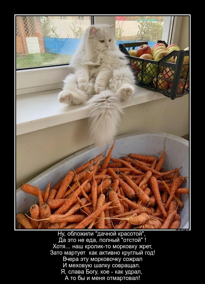 Чудотворная морковка