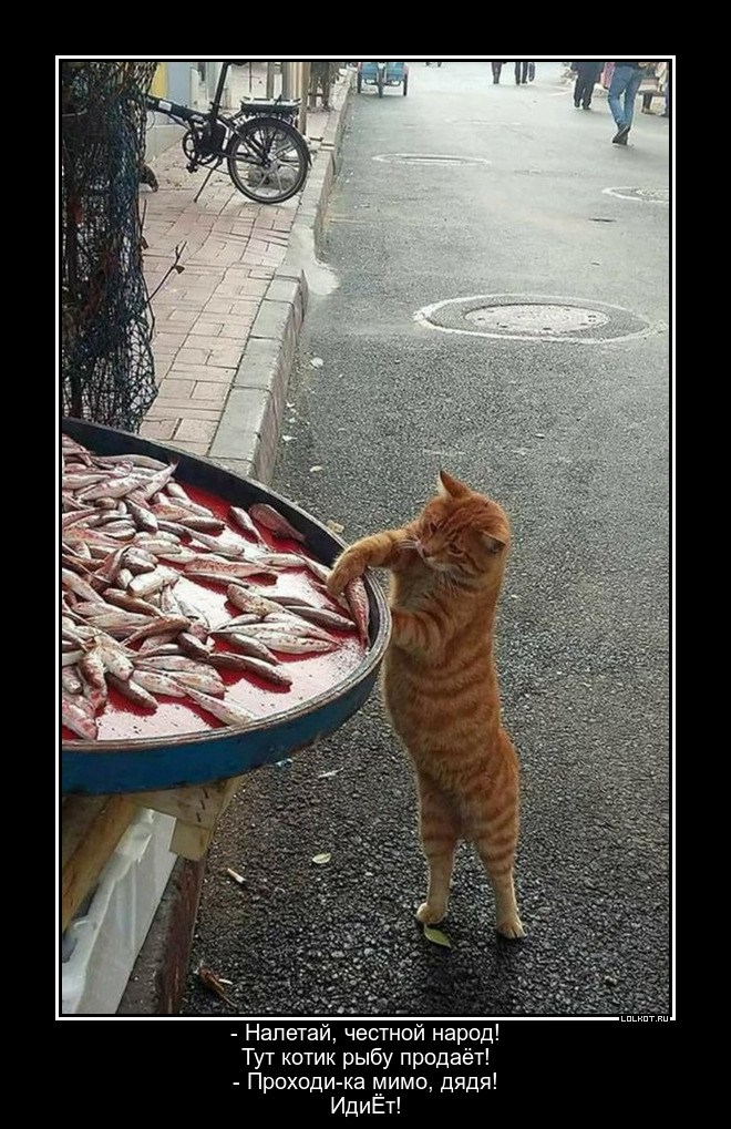 Продаватель рыбов