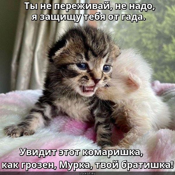 Грозный защищальщик