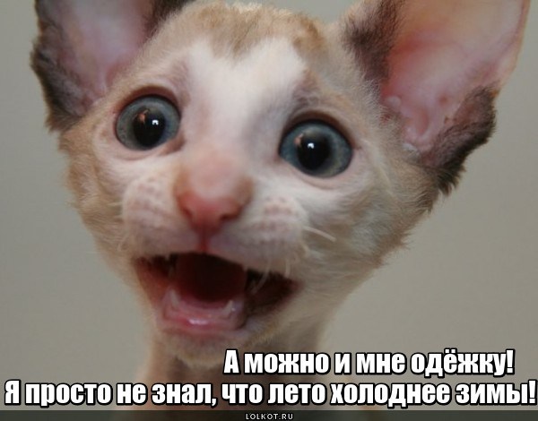 Безодёжная безнадёжка